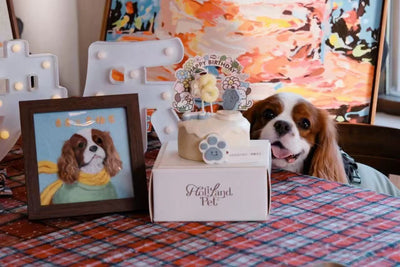 David K.'s pet portrait
