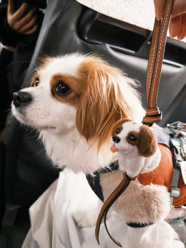 I carry my Cavalier everywhere now with the bag charm. Everyone asks where I ...